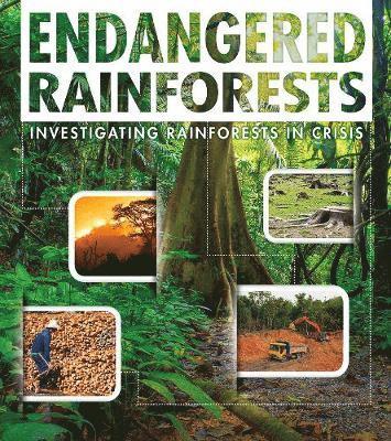 Cover for Rani Iyer · Endangered Rainforests - Investigating Rainforests in Crisis (Hardcover Book) (2019)