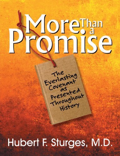 Hurbert F. Sturges · More Than a Promise (Paperback Book) (2013)