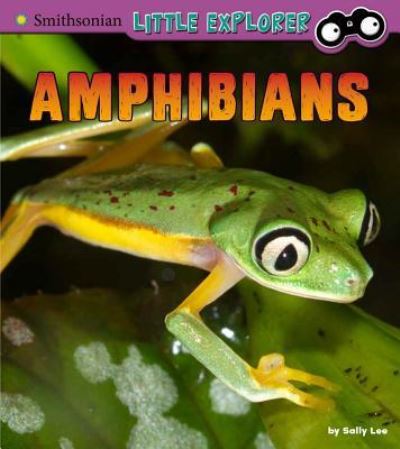 Cover for Sally Lee · Amphibians A 4D Book (Book) (2018)