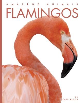 Cover for Kate Riggs · Flamingos (Book) (2022)