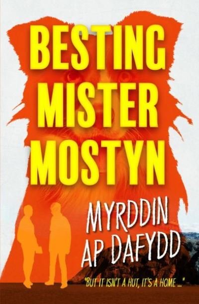 Cover for Myrddin ap Dafydd · Besting Mister Mostyn (Paperback Book) (2023)