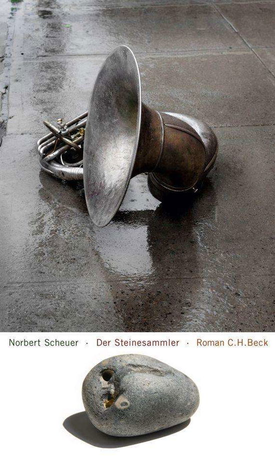 Cover for Norbert Scheuer · Steinesammler (Book)