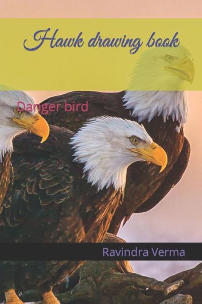 Cover for Ravindra Kumar Verma · Hawk drawing book: Danger bird (Paperback Book) (2022)