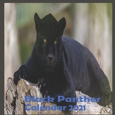 Cover for Life · Black Panther Calendar 2021 (Paperback Bog) (2020)