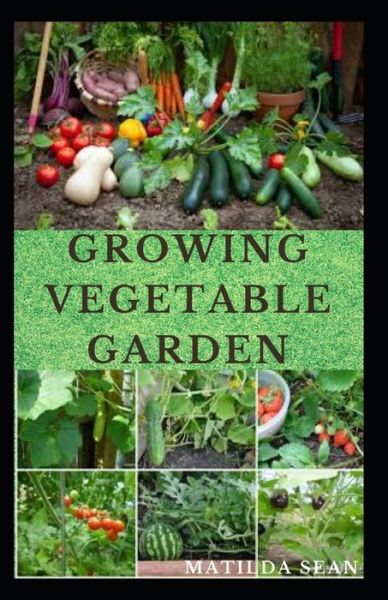 Cover for Matilda Sean · Growing Vegetable Garden (Paperback Book) (2020)