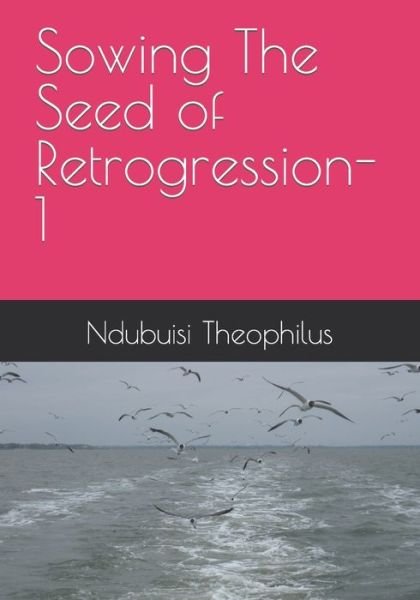 Cover for Ndubuisi Obi Theophilus · Sowing The Seed of Retrogression-1 - An Essay on the Logic of Corruption (Pocketbok) (2020)