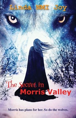 Cover for Linda Nmi Joy · The Secret in Morris Valley (Taschenbuch) (2022)