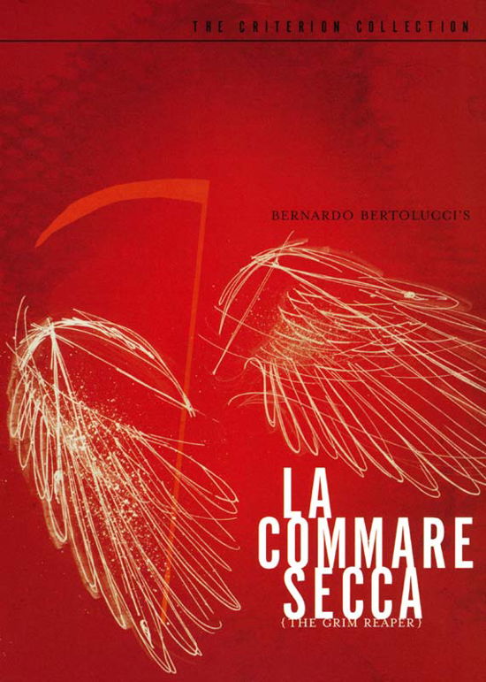 Cover for Criterion Collection · La Commare Secca / DVD (DVD) [Black &amp; white edition] (2005)