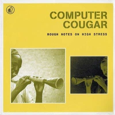 Cover for Computer Cougar · Rough Notes On High Stres (CD) (2016)