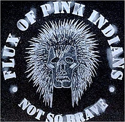 Cover for Flux Of Pink Indians · Not So Brave (CD) (2011)
