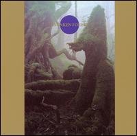 Cover for Death Ambient · Drunken Forest (CD) (2023)