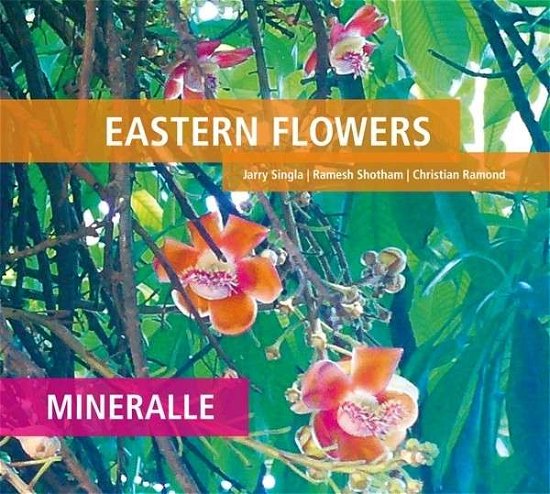 Cover for Eastern Flowers · Mineralle (CD) (2013)