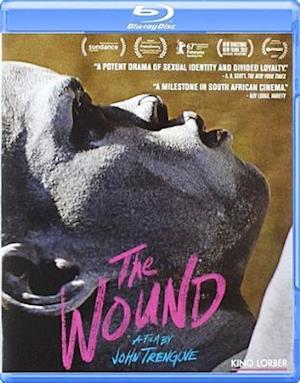 Cover for Wound (Blu-ray) (2017)