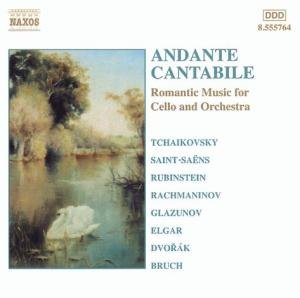 Andante Cantabile / Various - Andante Cantabile / Various - Musiikki - NAXOS - 0747313576425 - tiistai 19. helmikuuta 2002