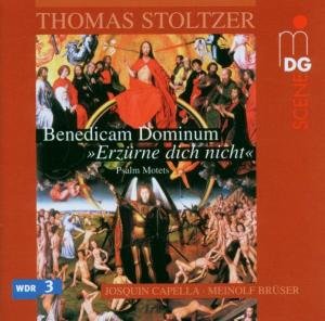 Stoltzer / Cappella / Bruser · Latin & German Psalms (CD) (2006)