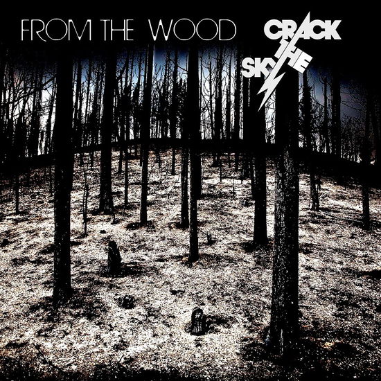 Cover for Crack the Sky · From the Wood (CD) (2023)