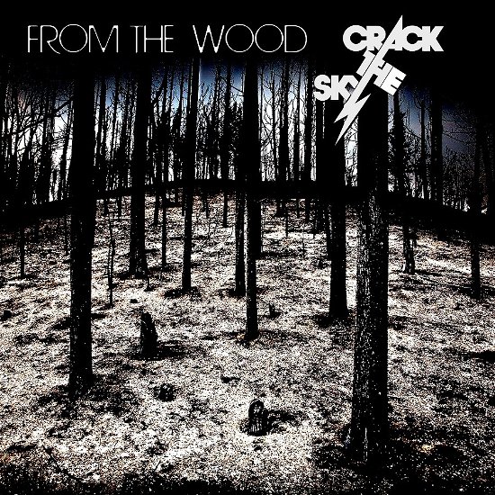Cover for Crack The Sky · From the Wood (CD) (2023)