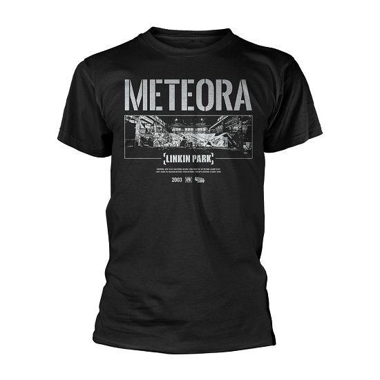 Cover for Linkin Park · Meteora Wall Art (T-shirt) [size M] (2023)