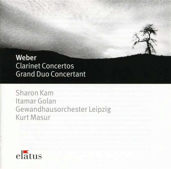 Cover for Carl Maria Von Weber · Weber: Clarinet Concertos Nos 1 &amp; 2; Grand Duo Concertante (CD) (2002)