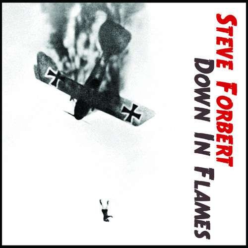 Cover for Steve Forbert · Down in Flames (CD) (2016)