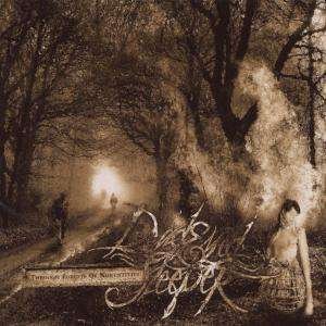 Cover for Dead Eyed Sleeper · Through Forests of Nonentities (CD) (2011)
