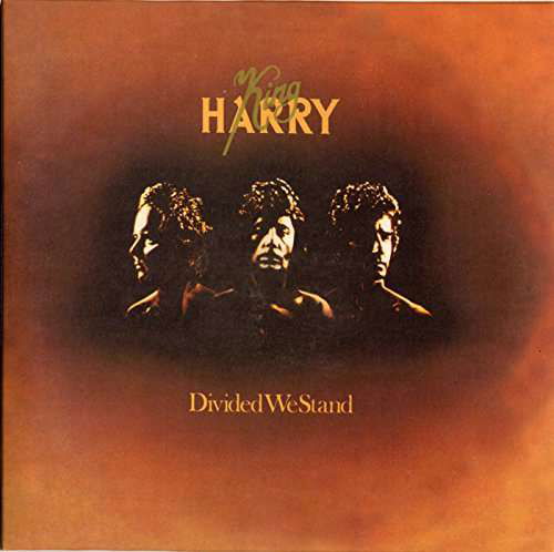 Divided We Stand: Limited - King Harry - Muziek - IMT - 4540399056425 - 11 maart 2016