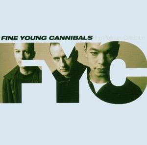 Platinum Collection - Fine Young Cannibals - Musik - WARNER - 5051011303425 - 30 mars 2006