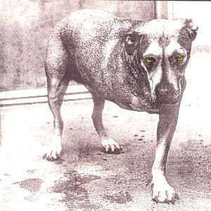 Cover for Alice In Chains (CD) (1995)