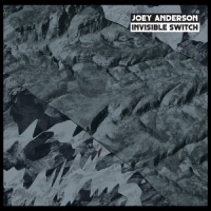 Cover for Joey Anderson · Invisible Switch (CD) (2015)