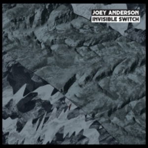 Invisible Switch - Joey Anderson - Musikk - DEKMANTEL - 8718754951425 - 19. november 2015