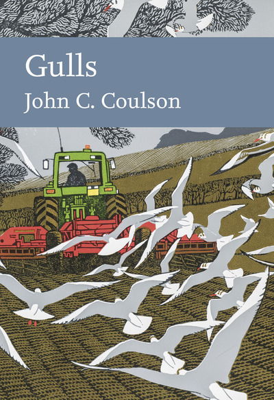 Cover for Professor John C. Coulson · Gulls - Collins New Naturalist Library (Hardcover Book) (2019)