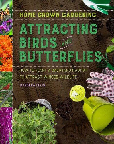 Cover for Barbara Ellis · Attracting Birds And Butterflies (Paperback Book) (2020)