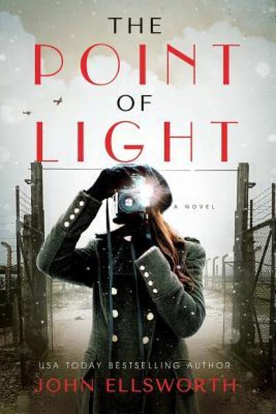 Cover for John Ellsworth · The Point of Light (Paperback Book) (2019)