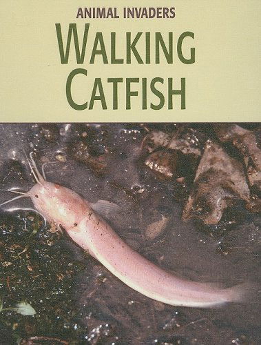 Cover for Susan Heinrichs Gray · Walking Catfish (Animal Invaders) (Hardcover Book) (2008)