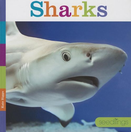 Cover for Kate Riggs · Sharks (Seedlings) (Hardcover Book) (2013)