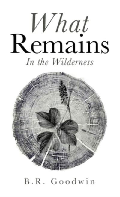 Cover for B R Goodwin · What Remains (Hardcover bog) (2021)