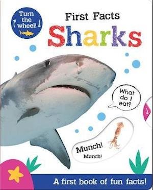 Cover for Georgie Taylor · First Facts Sharks - Move Turn Learn (Turn-the-Wheel Books) (Board book) (2021)