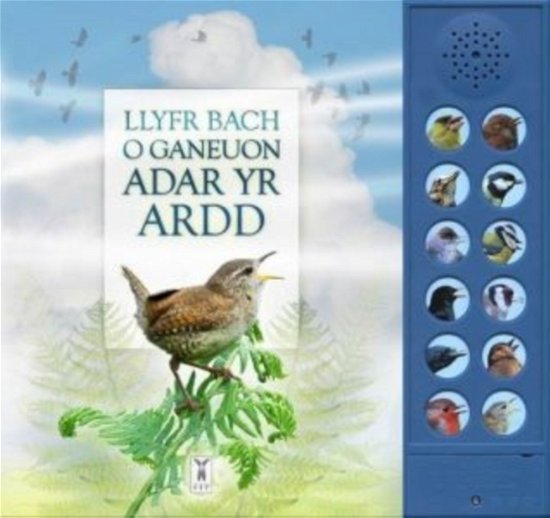 Cover for Andrea Pinnington · LLYFR BACH O GANEUON ADAR YR ARDD: The Little Book of Garden Bird Songs (Board book) [Welsh edition] (2019)