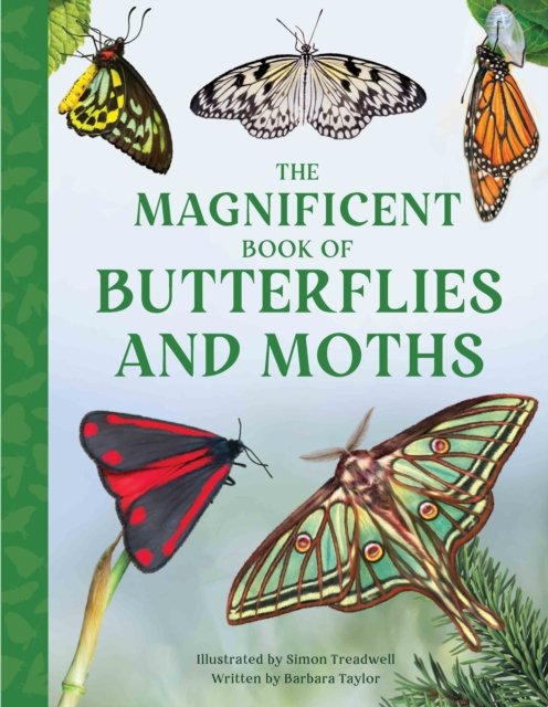 The Magnificent Book of Butterflies and Moths - Barbara Taylor - Kirjat - Weldon Owen Children's Books - 9781915588425 - torstai 7. maaliskuuta 2024