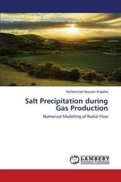 Cover for Wajahat Muhammad Hassam · Salt Precipitation During Gas Production (Taschenbuch) (2015)