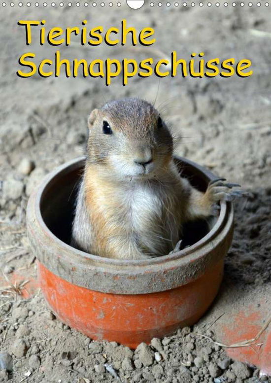 Tierische Schnappschüsse (Wandkal - Kaina - Bücher -  - 9783670698425 - 