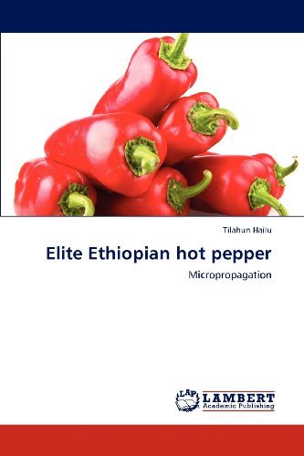 Cover for Tilahun Hailu · Elite Ethiopian Hot Pepper: Micropropagation (Paperback Bog) (2012)