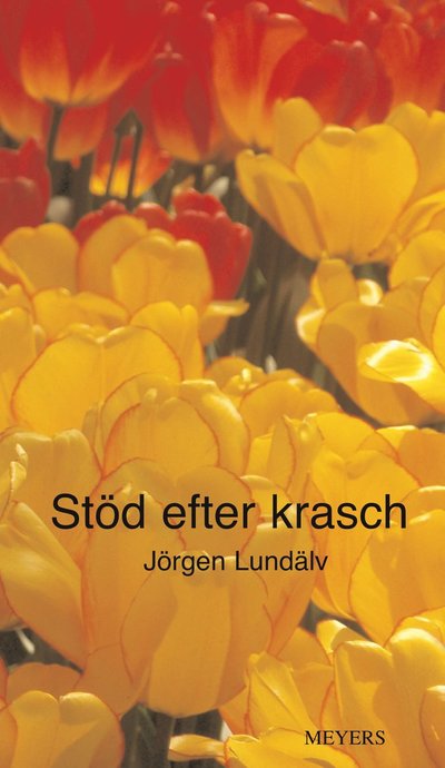 Cover for Jörgen Lundälv · Stöd efter krasch (Book) (2009)