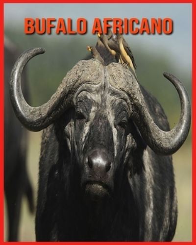 Cover for Annie Nichols · Bufalo Africano: Fatti divertenti e foto incredibili degli animali nella natura (Paperback Book) (2021)