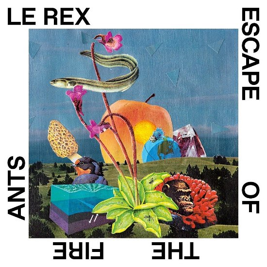 Cover for Le Rex · Escape of the Fire Ants (CD) (2019)