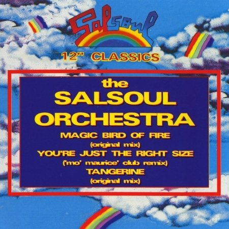 Cover for Salsoul Orchestra · Magic Bird of Fire / Youre Just the Right (CD) (2006)