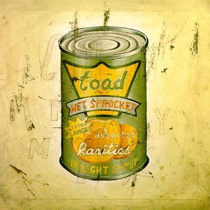 Cover for Toad the Wet Sprocket · In Light Syrup (CD) (1995)