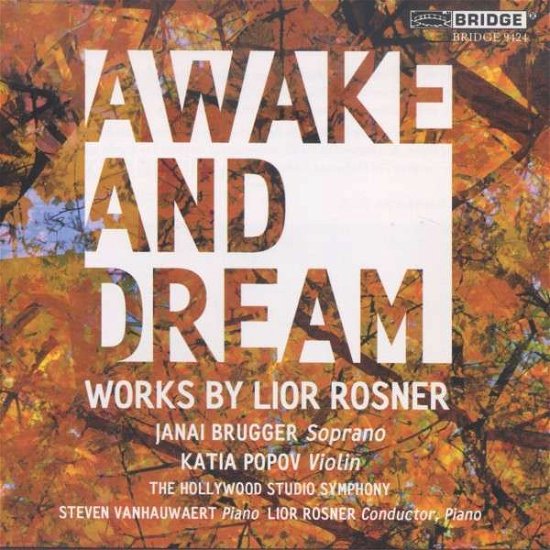 Cover for Rosner / Brugger / Rosner · Awake &amp; Dream (CD) (2014)