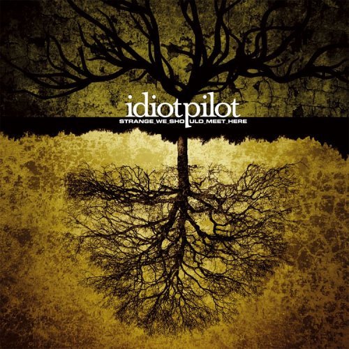 Cover for Idiot Pilot · Strange We Should Meet Here (CD) (2005)