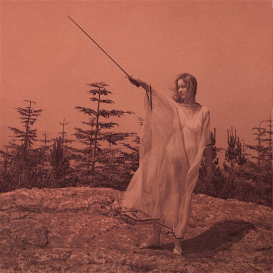 Cover for Unknown Mortal Orchestra · Ii (LP) (2023)